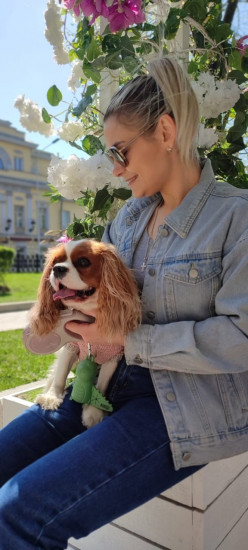 Частная массажистка Алина, 29 лет, Москва - фото 22