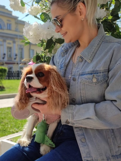 Частная массажистка Алина 